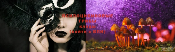 дурь Беломорск