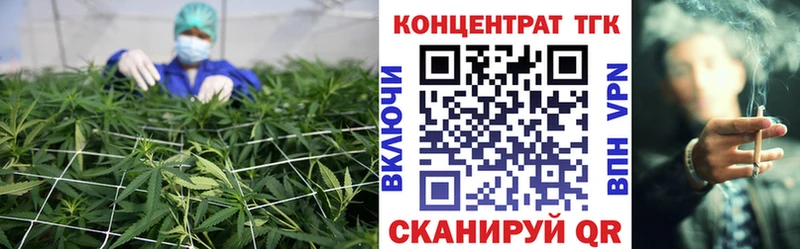 ТГК Wax  Щёкино 